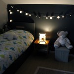 Guirlande boules Botanic