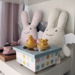 Couple de peluches lapin